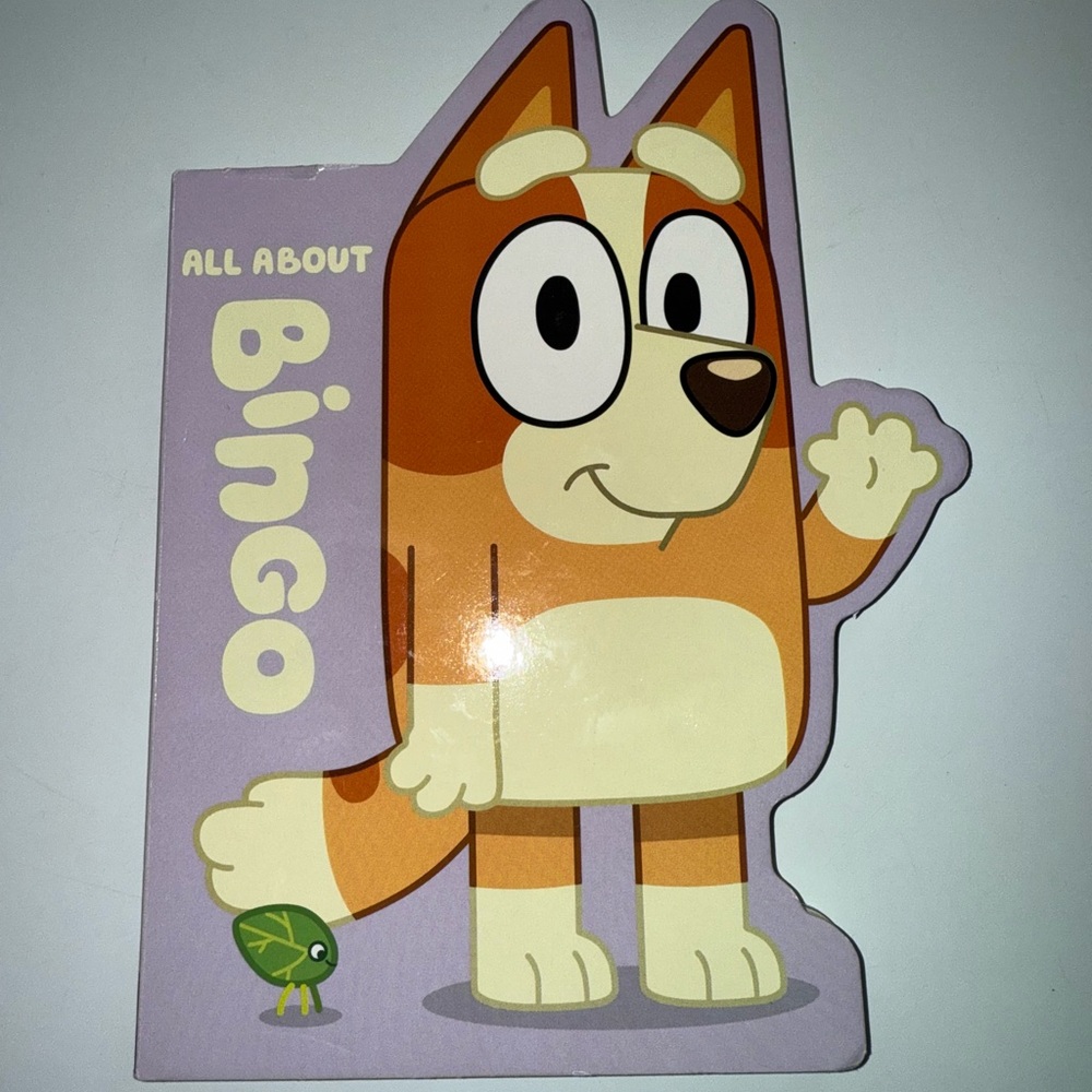Bingo Bluey book